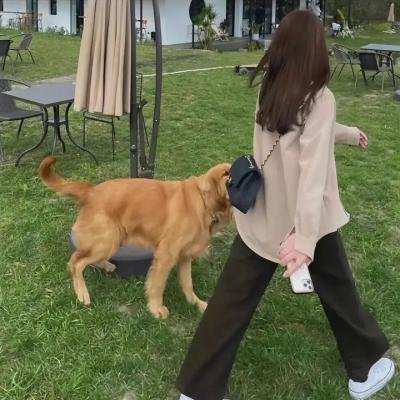 功夫婆媳